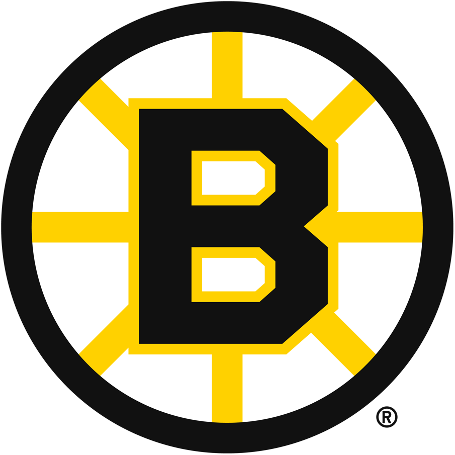 Boston Bruins 1949-1995 Primary Logo iron on heat transfer